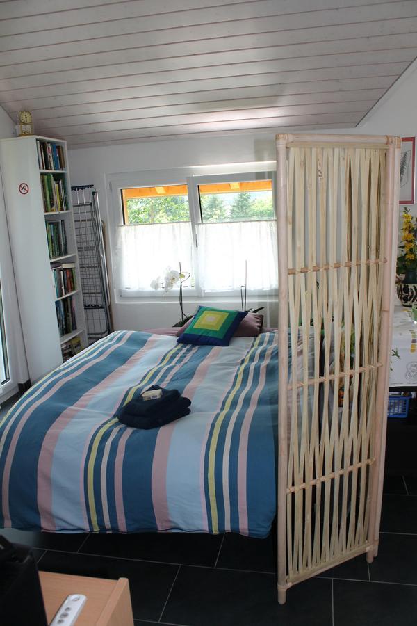 Leidzgi B&B Safenwil Экстерьер фото